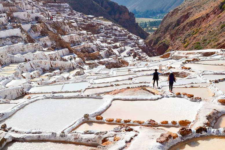 Maras Moray and Salt mines tour half day - VTM Peru Travel Agency