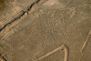 Nazca lines spider