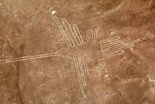 Nazca lines colibri